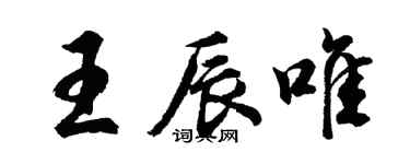 胡問遂王辰唯行書個性簽名怎么寫