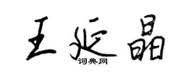 王正良王延晶行書個性簽名怎么寫