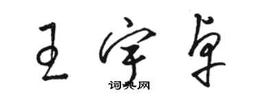 駱恆光王宇卓草書個性簽名怎么寫