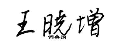 王正良王曉增行書個性簽名怎么寫