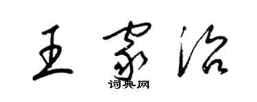 梁錦英王家治草書個性簽名怎么寫