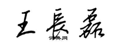 王正良王長磊行書個性簽名怎么寫