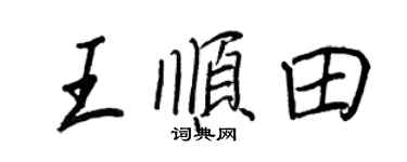 王正良王順田行書個性簽名怎么寫