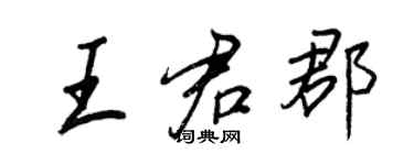 王正良王君郡行書個性簽名怎么寫