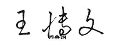 駱恆光王博文草書個性簽名怎么寫