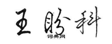 駱恆光王盼科行書個性簽名怎么寫