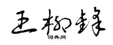 曾慶福王柳鋒草書個性簽名怎么寫