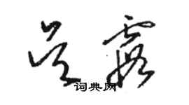 駱恆光吳霞草書個性簽名怎么寫