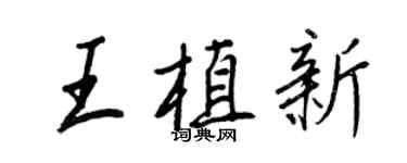 王正良王植新行書個性簽名怎么寫
