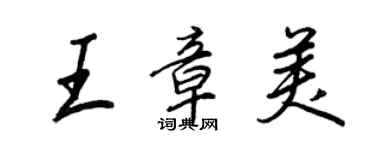 王正良王章美行書個性簽名怎么寫