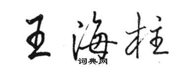 駱恆光王海柱行書個性簽名怎么寫