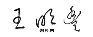 駱恆光王明豐草書個性簽名怎么寫