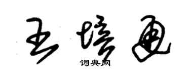 朱錫榮王培通草書個性簽名怎么寫
