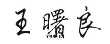 駱恆光王曙良行書個性簽名怎么寫