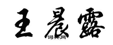 胡問遂王晨露行書個性簽名怎么寫