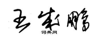 朱錫榮王成鵬草書個性簽名怎么寫