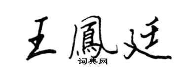 王正良王鳳廷行書個性簽名怎么寫