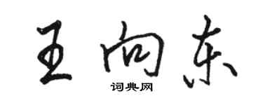 駱恆光王向東行書個性簽名怎么寫