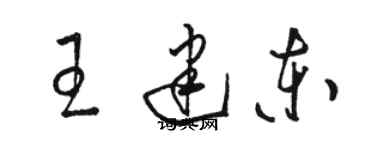 駱恆光王建東草書個性簽名怎么寫