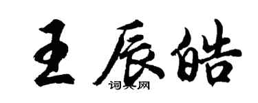 胡問遂王辰皓行書個性簽名怎么寫