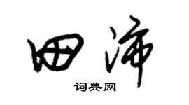 朱錫榮田沛草書個性簽名怎么寫