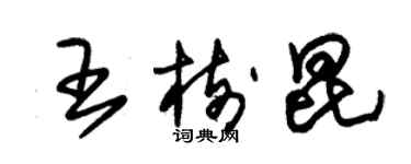 朱錫榮王樹昆草書個性簽名怎么寫