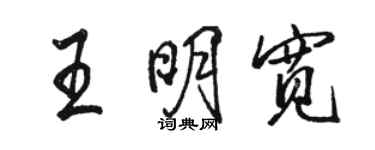駱恆光王明寬行書個性簽名怎么寫