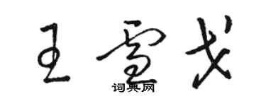 駱恆光王雪戈草書個性簽名怎么寫