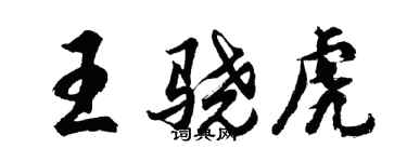 胡問遂王驍虎行書個性簽名怎么寫