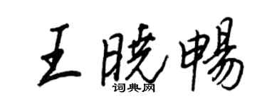 王正良王曉暢行書個性簽名怎么寫