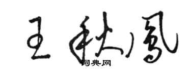 駱恆光王秋鳳草書個性簽名怎么寫