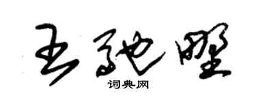 朱錫榮王馳野草書個性簽名怎么寫