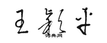 駱恆光王穎平草書個性簽名怎么寫