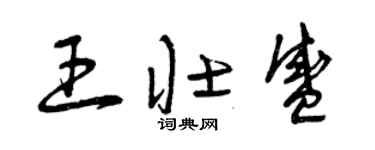 曾慶福王壯盛草書個性簽名怎么寫
