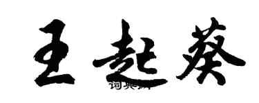 胡問遂王起葵行書個性簽名怎么寫