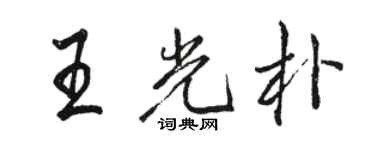 駱恆光王光朴行書個性簽名怎么寫