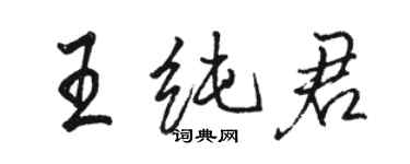 駱恆光王純君行書個性簽名怎么寫