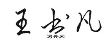 駱恆光王書凡行書個性簽名怎么寫