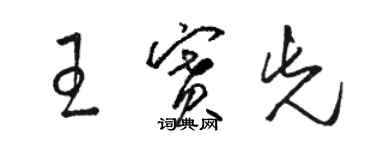 駱恆光王賽先草書個性簽名怎么寫