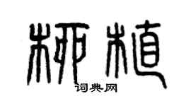 曾慶福柳植篆書個性簽名怎么寫