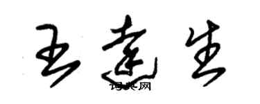 朱錫榮王達生草書個性簽名怎么寫