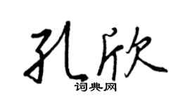 王正良孔欣行書個性簽名怎么寫