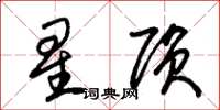 朱錫榮星隕草書怎么寫