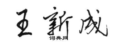 駱恆光王新成行書個性簽名怎么寫