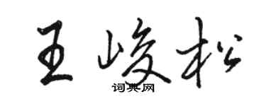 駱恆光王峻松行書個性簽名怎么寫