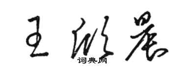 駱恆光王欣晨草書個性簽名怎么寫