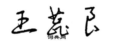 曾慶福王蕊良草書個性簽名怎么寫