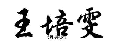胡問遂王培雯行書個性簽名怎么寫