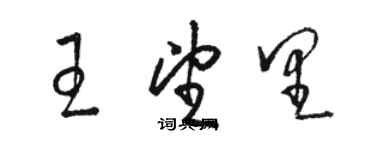 駱恆光王望里草書個性簽名怎么寫