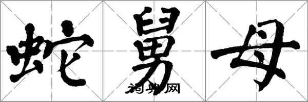 翁闓運蛇舅母楷書怎么寫